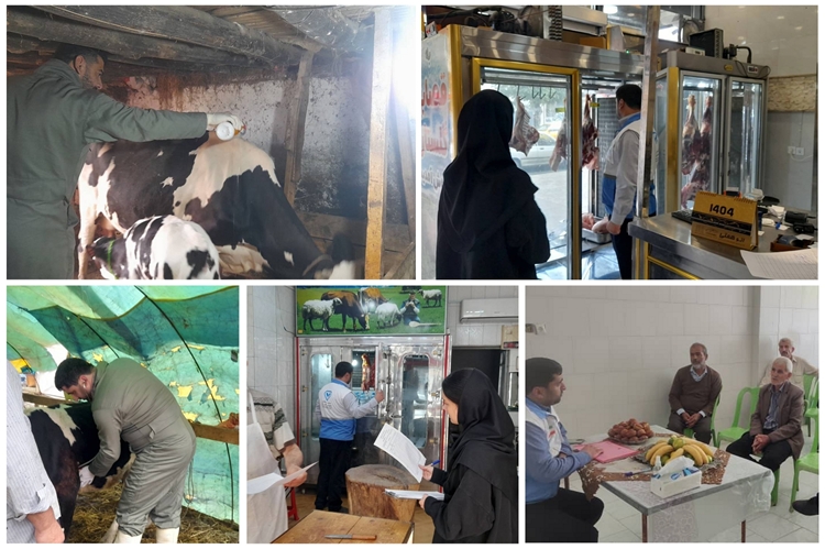 واکسیناسیون بیس از 4700 نوبت سر دام سبک و سنگین در شهرستان رضوانشهر